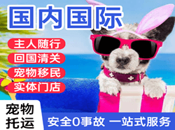 邯郸空运代理国际宠物托运 【国